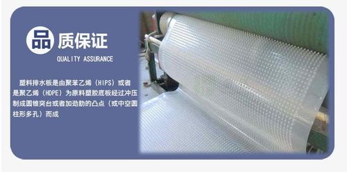 泰安植草格與集成房屋價(jià)格解析 每平方米成本及綜合考量